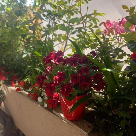 Apartments Gazi Ulcinj Eksteriør billede