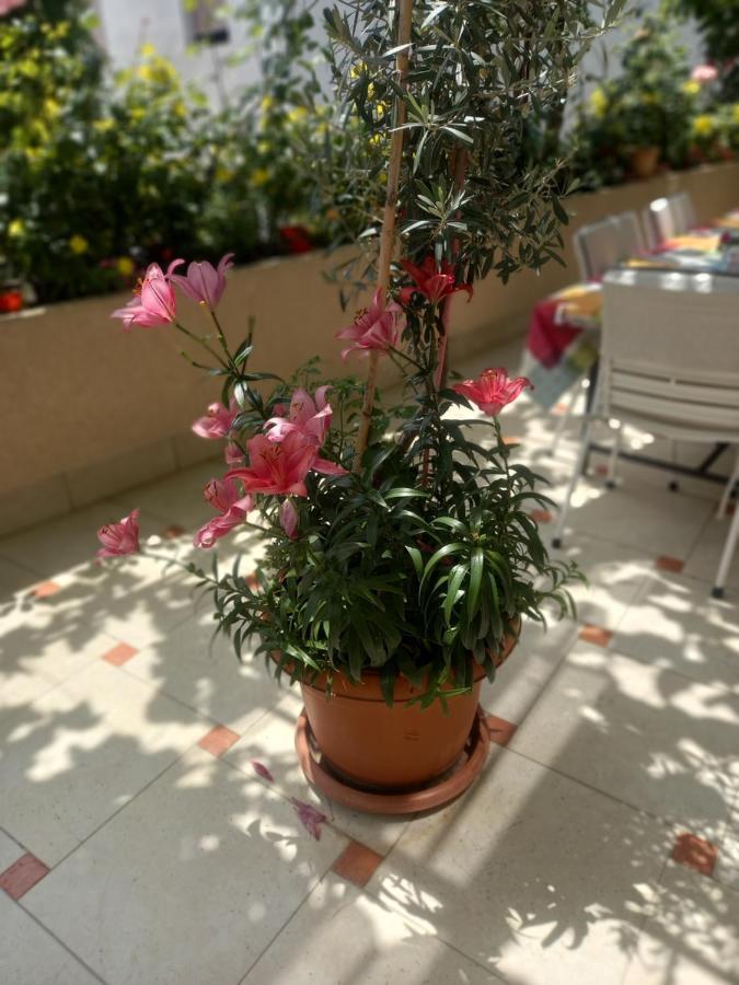 Apartments Gazi Ulcinj Eksteriør billede