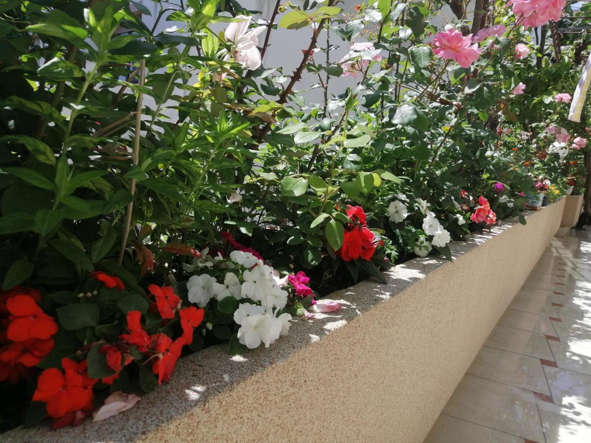 Apartments Gazi Ulcinj Eksteriør billede