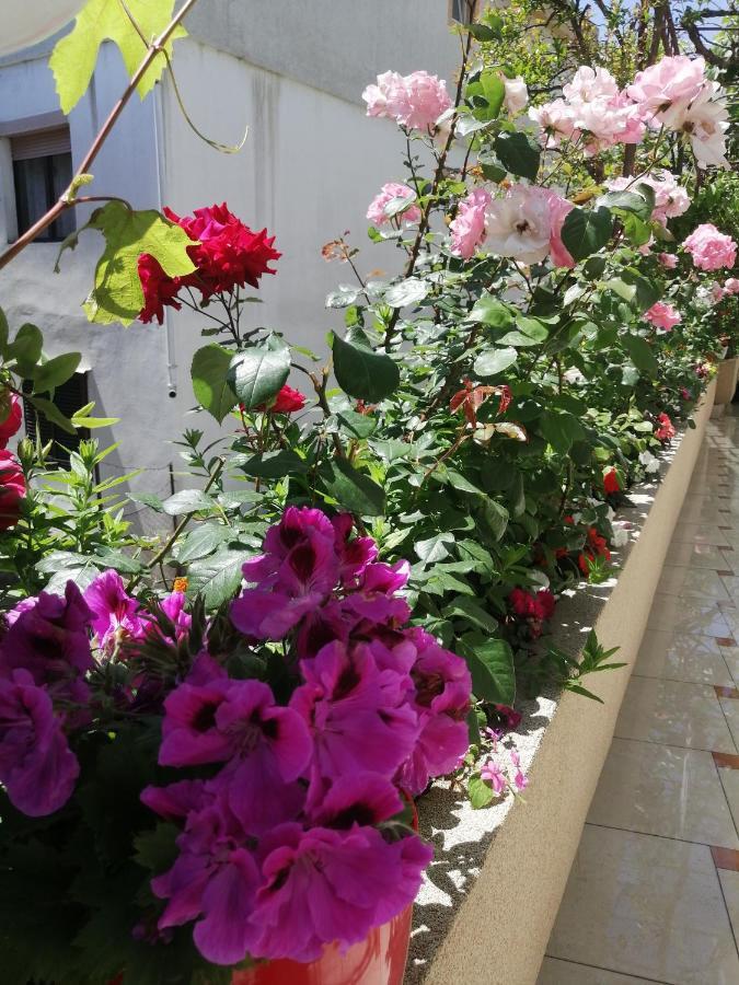 Apartments Gazi Ulcinj Eksteriør billede